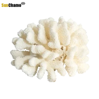 white coral shell conch flower aquarium decoration window sea snail figurines miniatures mediterranean ornaments specimens