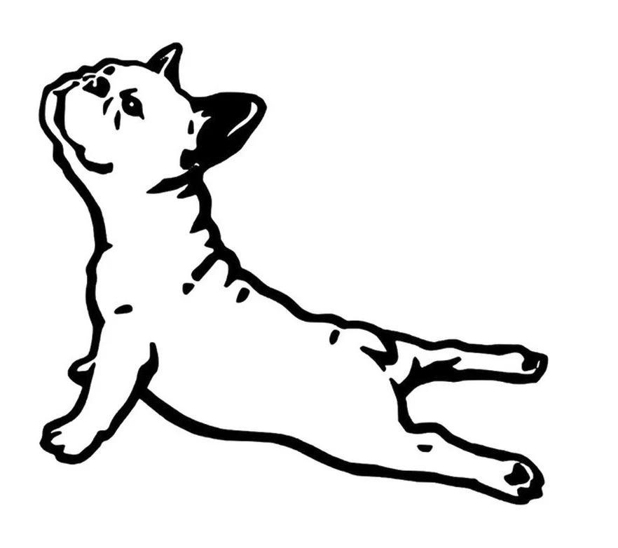 

15cmx14cm Bulldog Vinyl Car-Sticker Automobiles Motorcycles Window Bumper Laptop Vinyl Decal Decorative Goods