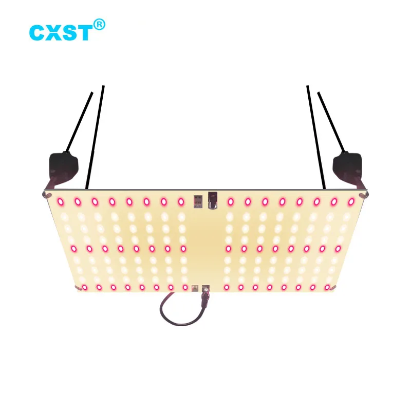 CXST Samsung Diode Led Grow Light Full Spectrum 65W Indoor Plant Lamps for Tent Greenhouse for Herbs Flowers Veg Fruit