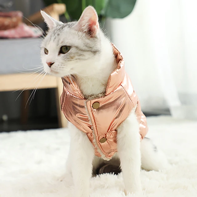 The Cat Face Fashion Winter Pet Cat Warm Coat Waterproof Cat Jacket Pattern  Dog Cat Kitten Costume Reflective Pet Clothes - AliExpress