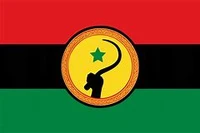 election 90x150cm pan african flags