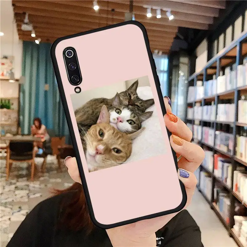 

Aesthetic Cute Animal Cat Phone Cases For Xiaomi Redmi mi note 7 8t 9 9t 9s 8 10 10t 11 pro lite K20 max 3