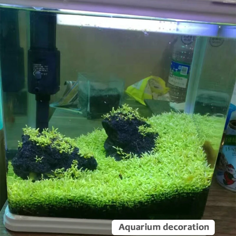 Декор для аквариума семена водной травы посылка на переднюю поверхность