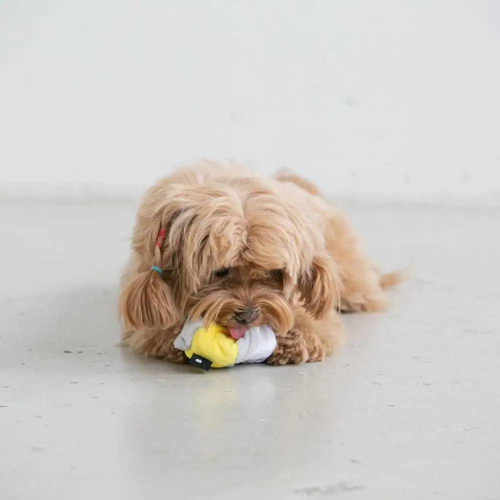 Корейские плюшевые пищащие носки игрушки для собак устойчивая к укусам чистая