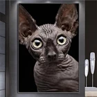 Алмазная 5D картина Кот канадского Сфинкса, полноразмернаякруглая вышивка крестиком, украшение для дома, подарок, сделай сам