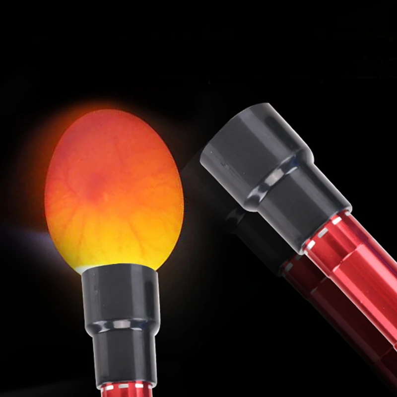 Инкубатор для яиц Тесты er яйцо 9 светодиодный свечи лампы холодный