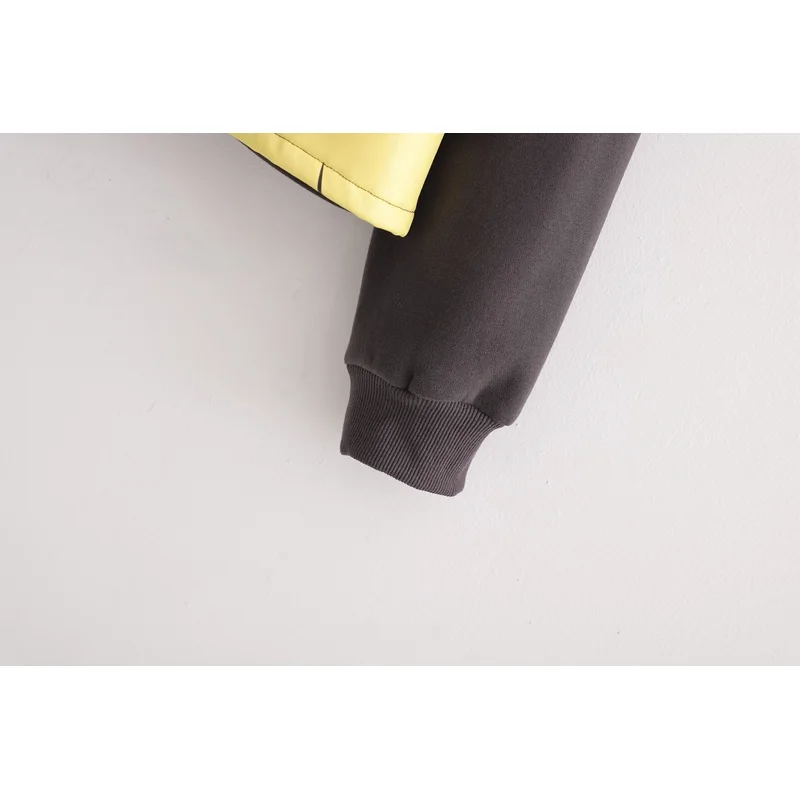 Za 2019 модная женская толстовка коричневого цвета из хлопка с рисунком короля льва