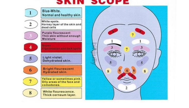 Оборудование для ухода за кожей лица УФ-лампа увеличивающий анализатор салонная