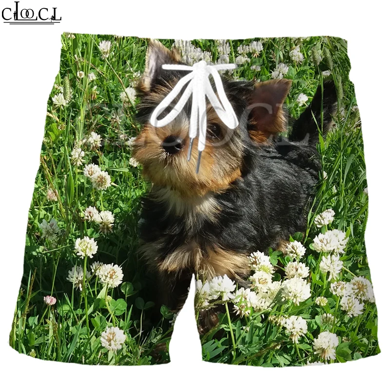 Π¨ΠΎΡΡΡ CLOOCL Π² Π²ΠΈΠ΄Π΅ ΠΆΠΈΠ²ΠΎΡΠ½ΡΡ
, ΡΠΎΠ±Π°ΠΊΠΈ, ΠΉΠΎΡΠΊΡΠΈΡΡΠΊΠΎΠ³ΠΎ ΡΠ΅ΡΡΠ΅ΡΠ°, ΡΠΎΡΡΡ Π² ΡΡΠΈΠ»Π΅ Π₯Π°ΡΠ°Π΄Π·ΡΠΊΡ, ΡΡΠ°Π½Ρ Π΄Π»Ρ ΠΌΠ°Π»ΡΡΠΈΠΊΠΎΠ² Ρ 3D ΠΏΡΠΈΠ½ΡΠΎΠΌ, ΡΡΡΠ΄Π΅Π½ΡΠ΅ΡΠΊΠΈΠ΅ Π»Π΅ΡΠ½ΠΈΠ΅ Π½ΠΎΠ²ΡΠ΅ ΠΌΠΎΠ΄Π½ΡΠ΅ Π΄ΠΈΠΊΠΈΠ΅ Π¨ΠΎΡΡΡ CLOOCL Π² Π²ΠΈΠ΄Π΅ ΠΆΠΈΠ²ΠΎΡΠ½ΡΡ
, ΡΠΎΠ±Π°ΠΊΠΈ, ΠΉΠΎΡΠΊΡΠΈΡΡΠΊΠΎΠ³ΠΎ ΡΠ΅ΡΡΠ΅ΡΠ°, ΡΠΎΡΡΡ Π² ΡΡΠΈΠ»Π΅ Π₯Π°ΡΠ°Π΄Π·ΡΠΊΡ, ΡΡΠ°Π½Ρ Π΄Π»Ρ ΠΌΠ°Π»ΡΡΠΈΠΊΠΎΠ² Ρ 3D ΠΏΡΠΈΠ½ΡΠΎΠΌ, ΡΡΡΠ΄Π΅Π½ΡΠ΅ΡΠΊΠΈΠ΅ Π»Π΅ΡΠ½ΠΈΠ΅ Π½ΠΎΠ²ΡΠ΅ ΠΌΠΎΠ΄Π½ΡΠ΅ Π΄ΠΈΠΊΠΈΠ΅