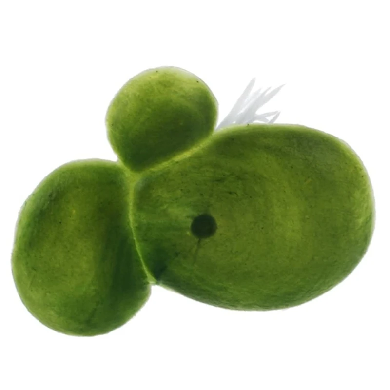 18 шт. искусственные водоросли плавающие реалистичные аквариумные рыболовные