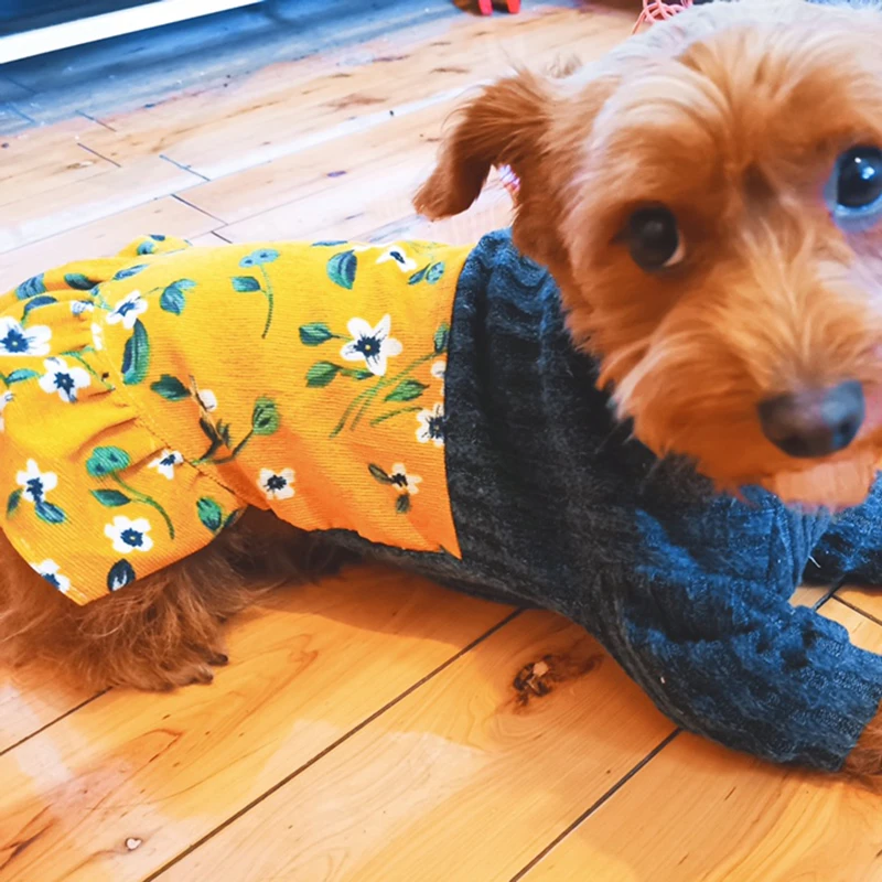 Pet Dog Dress Casual Sweet Style Puppy Clothes Fake Two Piece Suit Party Tutu For Small Dogs Chihuahua Poodle Fleece Skirt | Дом и сад