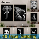 Холст для живописи wall art плакат со львом, тигр, слон лось орангутанг Пижама HD животных черно-белая картина номер декоративная живопись Печать на заказ простая картина современного искусства