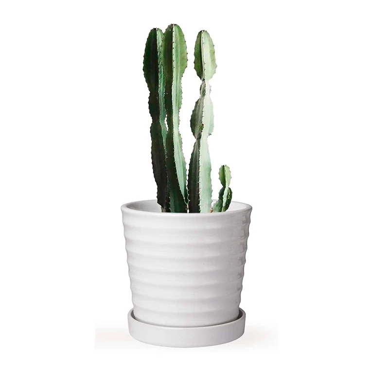 Цветочный горшок с лотком интегрированный креативный Европейский для комнатных