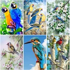 Полный раундквадратная алмазная живопись вышивка с цветами и птицами картинка с животными для вышивки со стразами из Стразы Алмазная Мозаика Декор для дома