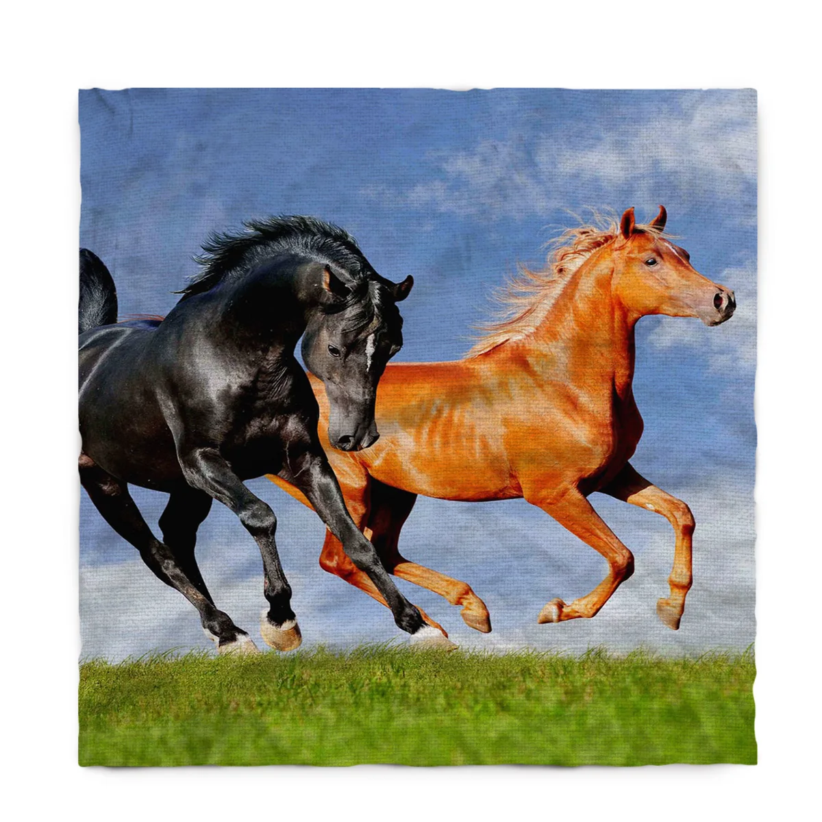 С рисунком лошади небо скатерти девушки дома мужчины пятен стойкий стол