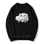 Толстовка Falkor с надписью Neverending, толстовка с надписью Falkor Falcore Falcor Valcor Дракон Удачи, мужская толстовка с надписью Neverending с драконом