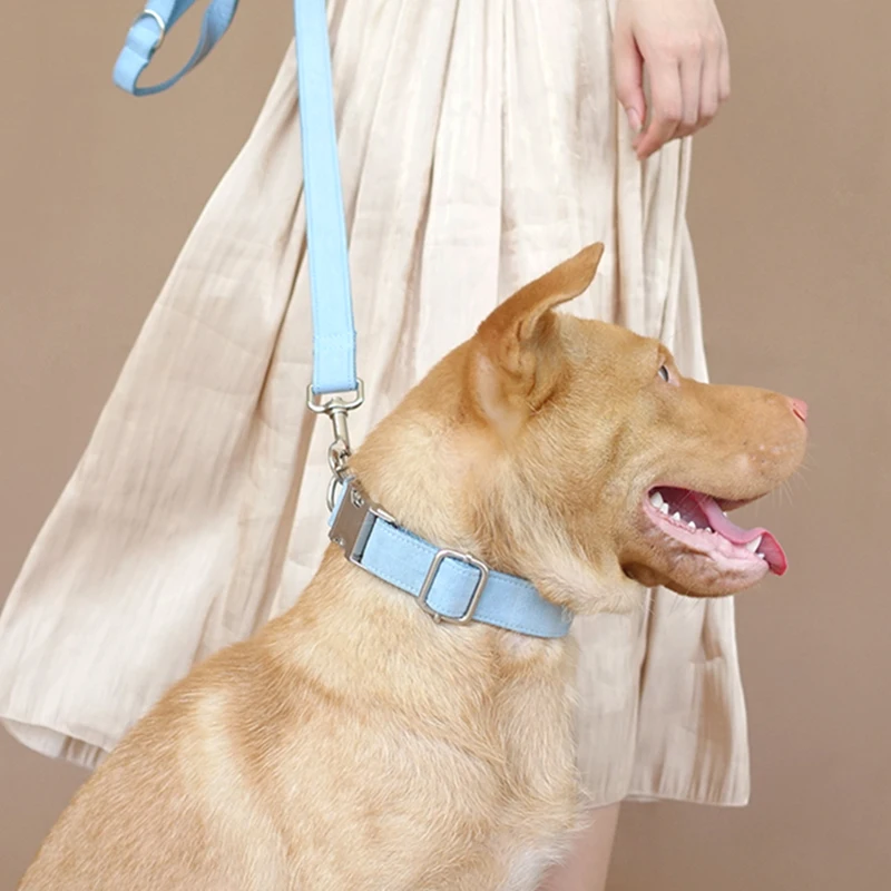 MUTTCO розничная продажа самостоятельного дизайна ошейник с гравировкой имени