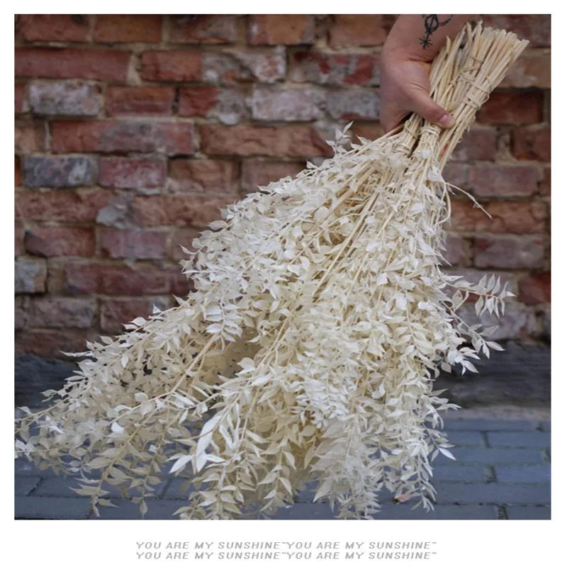 Высушенные цветы в скандинавском стиле натуральные листья серебряного кедра для