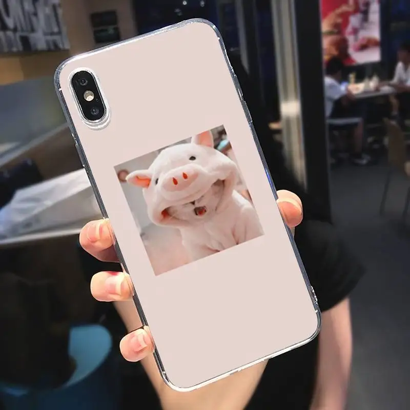 

Cute animal lovely cat Phone Case Transparent for iPhone 6 7 8 11 12 s mini pro X XS XR MAX Plus