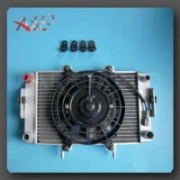 radiator and fan electromotor assy for buyang feishen 300cc atv quad