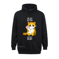 are you kitten me right meow kitten kitty funny cat lovers hoodie custom men hoodies men hot sale cotton hoodie cosie