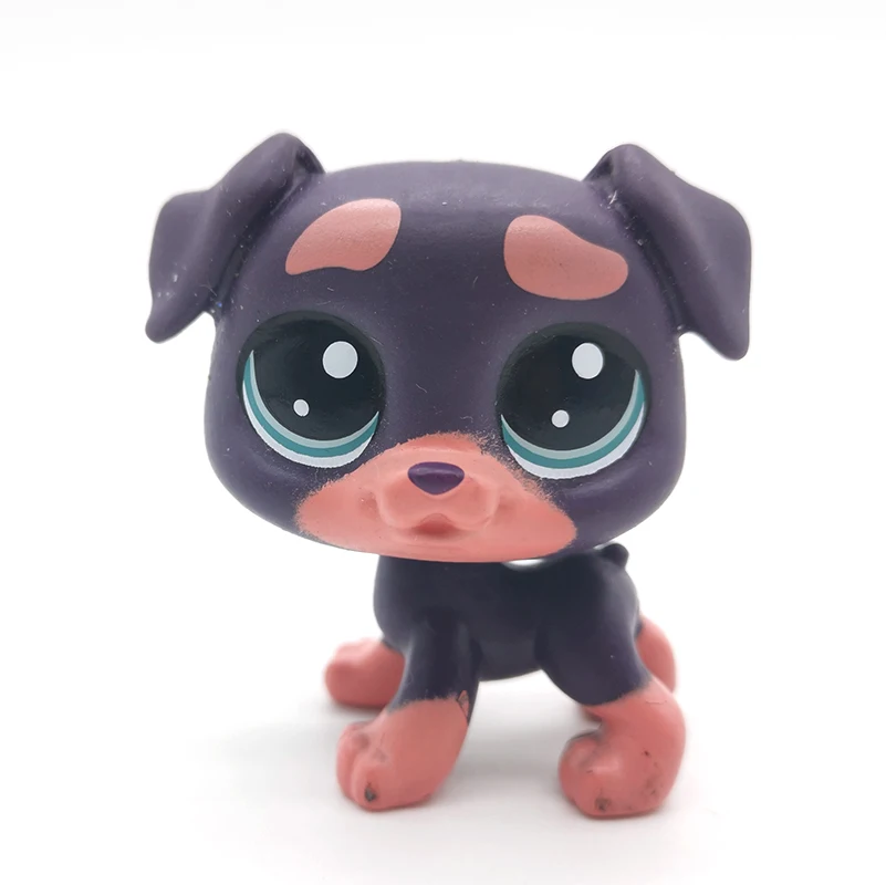 Стоя petshop старые игрушки животных короткие волосы кошка колли птица Лев спаниель