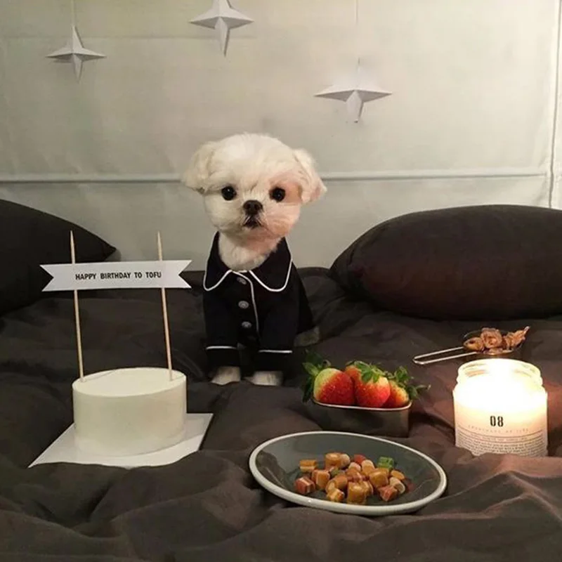 Пижамные рубашки для собак Зимний комбинезон модная французская Одежда чихуахуа