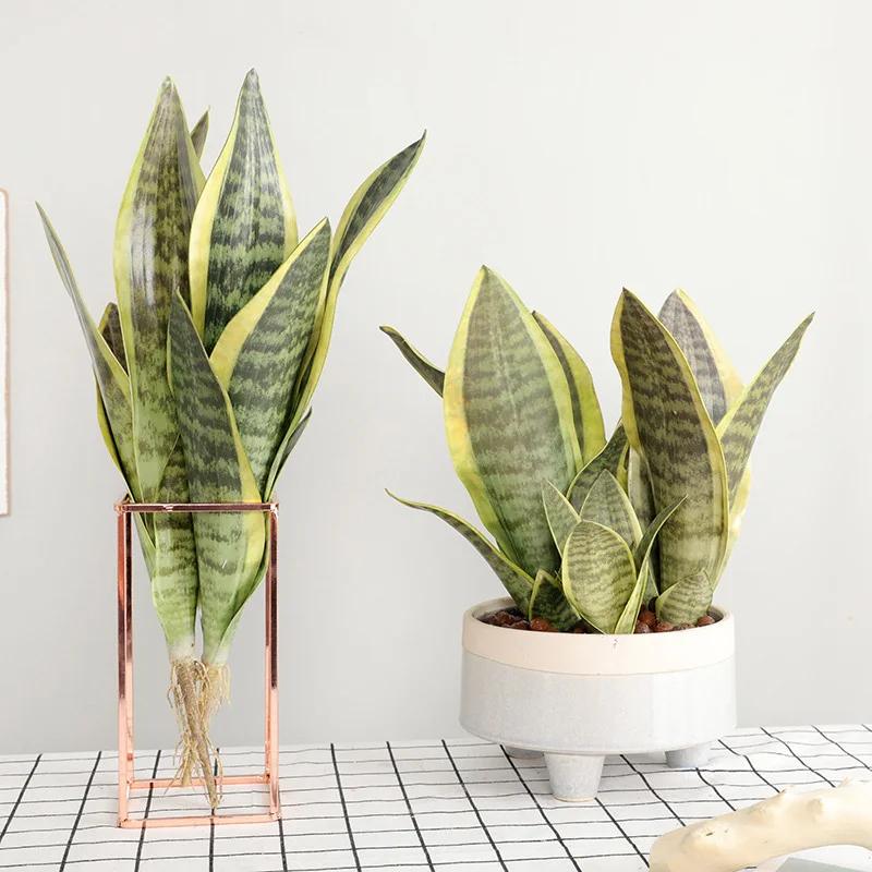 Искусственное растение пустыни искусственная Sansevieria Trifasciata имитация суккулентов