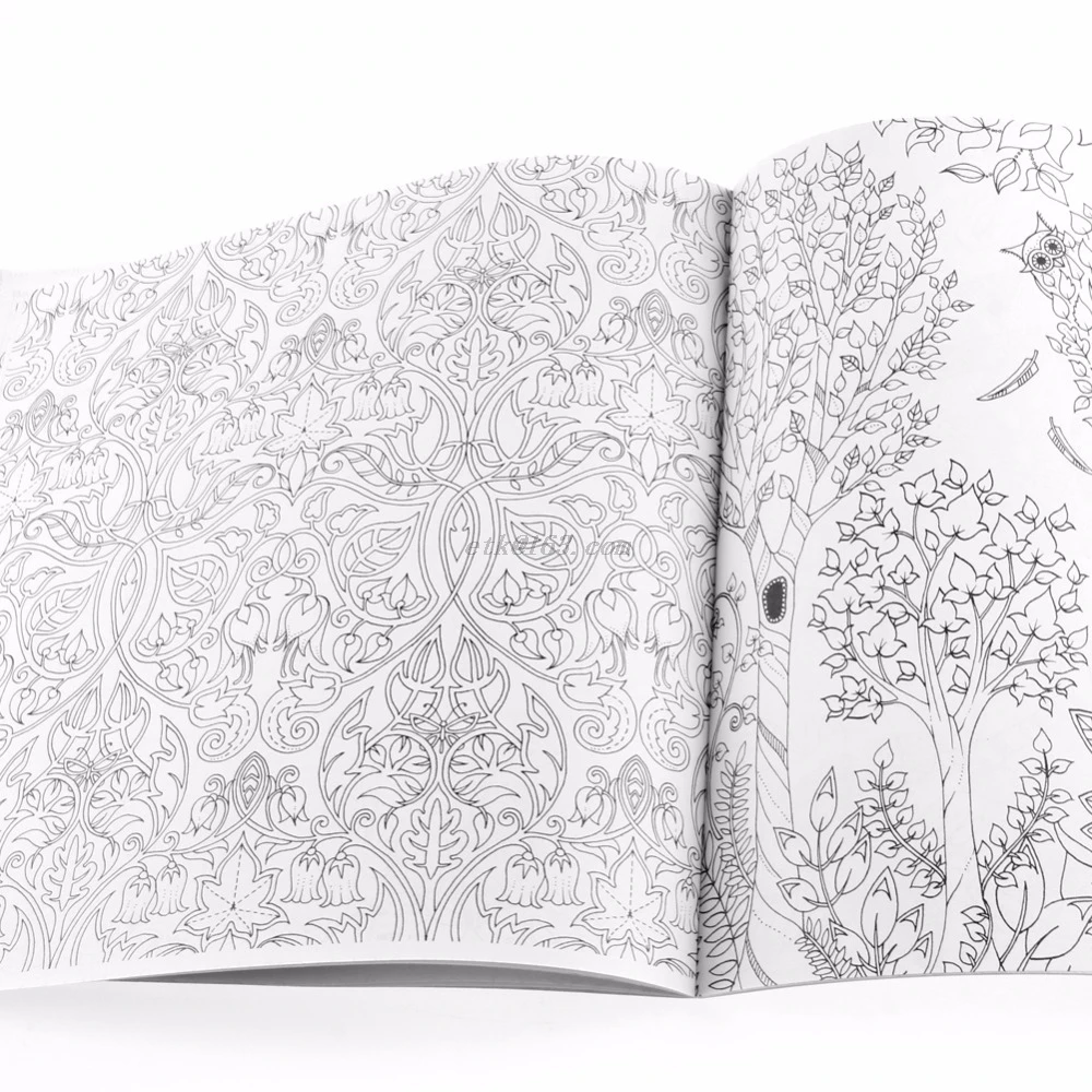 Раскраска для взрослых на английском языке Таинственный Сад охота за