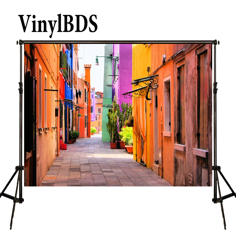 

VinylBDS 150X200cm(5*6.5ft) Photography Studio Backdrop For Children Street View Photo Background Outdoor Cactus Backdrops
