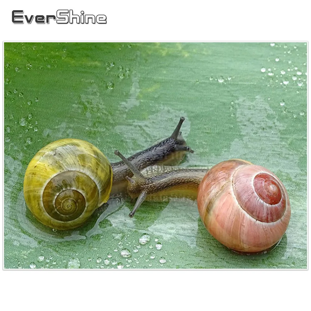 EverShine Алмазная вышивка улитки фотографии Стразы полный квадратный алмаз