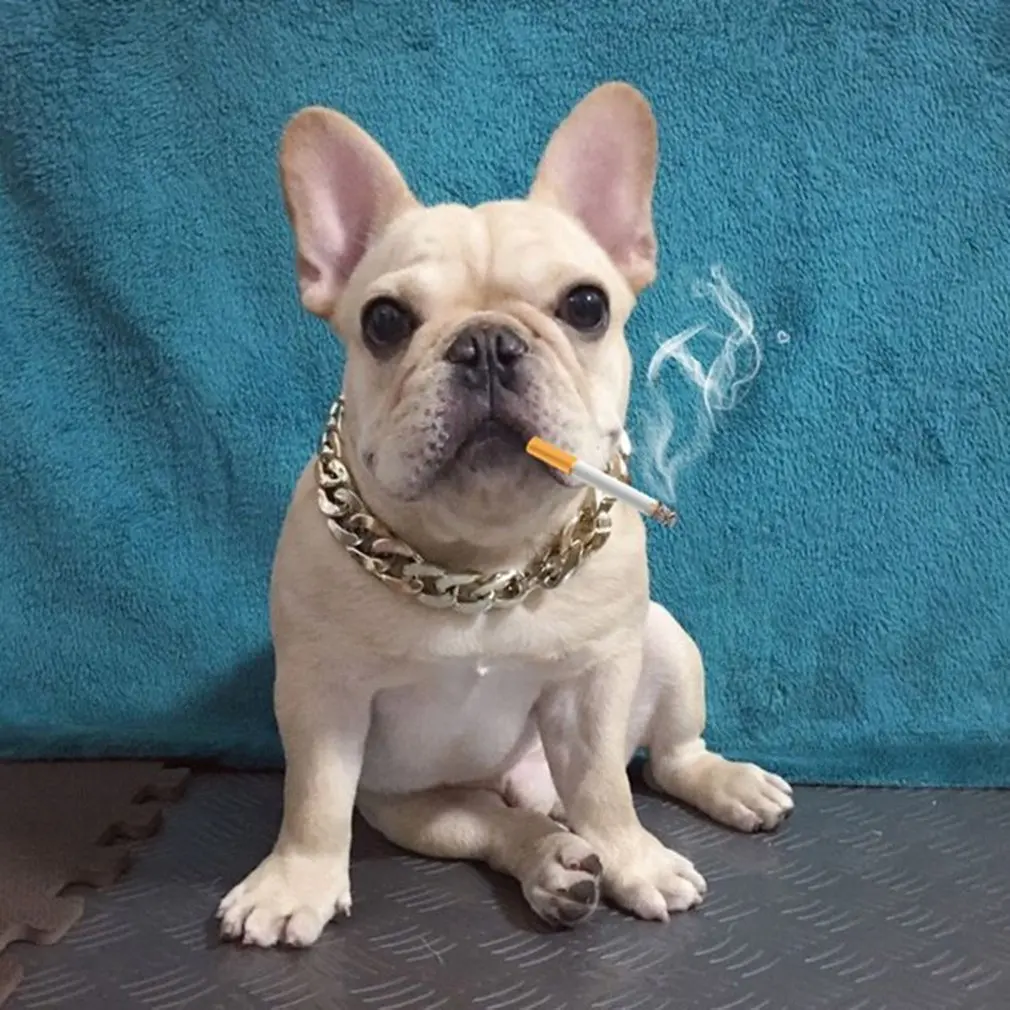 

Luxury Design Puppies Dogs High Class Collar Necklace Pet Supplies Adjustable Cute Charm Bling Shiny Pet Collar