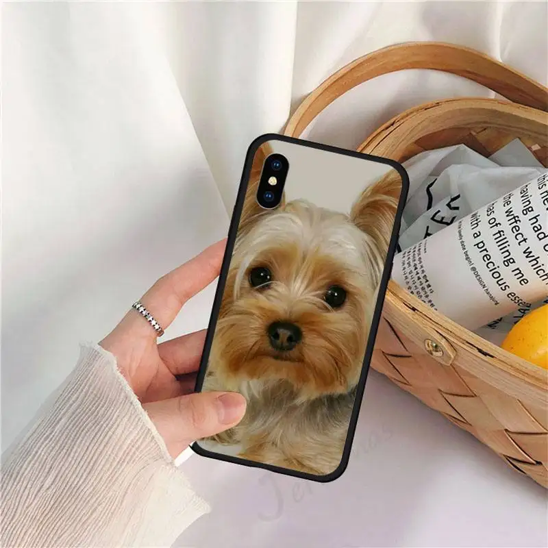 

Mini Yorkshire Terrier Dog animal Phone Case for iPhone 11 12 pro XS MAX 8 7 6 6S Plus X 5S SE 2020 XR