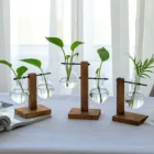 2021 настольная стеклянная ваза для лампочек, цельная деревянная подставка в стиле ретро для гидропоники, растения, украшение для дома, аксессуары, вазы