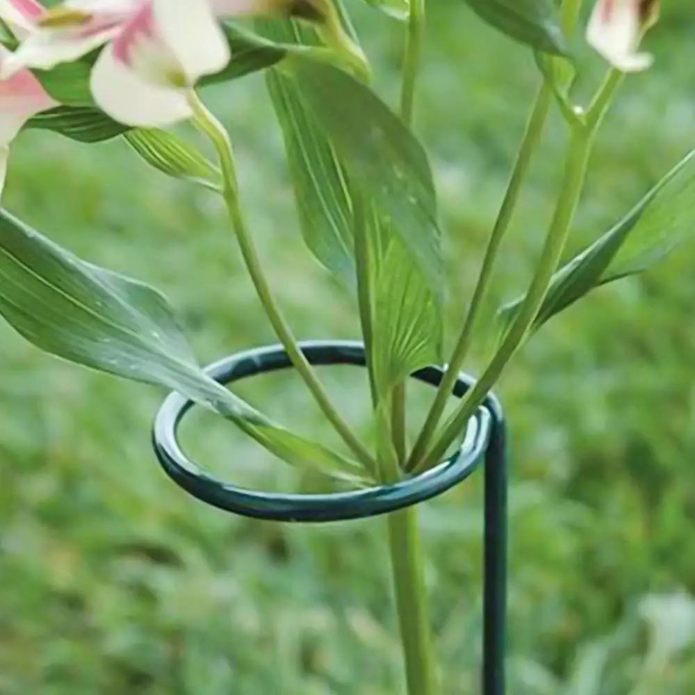 

5pcs of 15.7/17.7 Inch Garden Single Stem Support Pile Plant Cage Support Rings 40/45 cm Long Plant Growth Support Holder