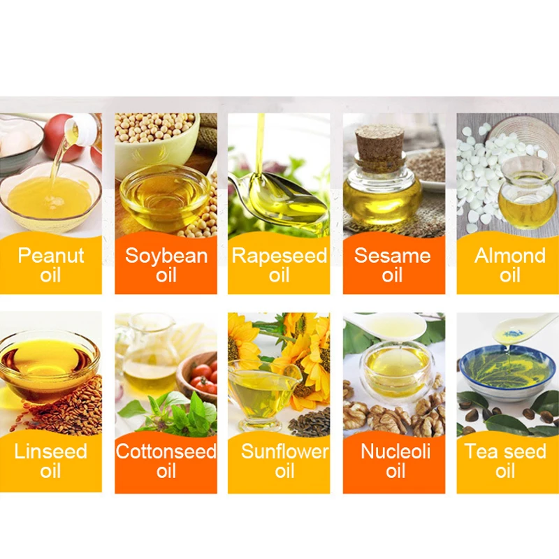 

LBT01T Automatic Cold Oil Press Machine High Extraction Rate Oil Extractor Peanut Coconut Olive Oil Press Machine