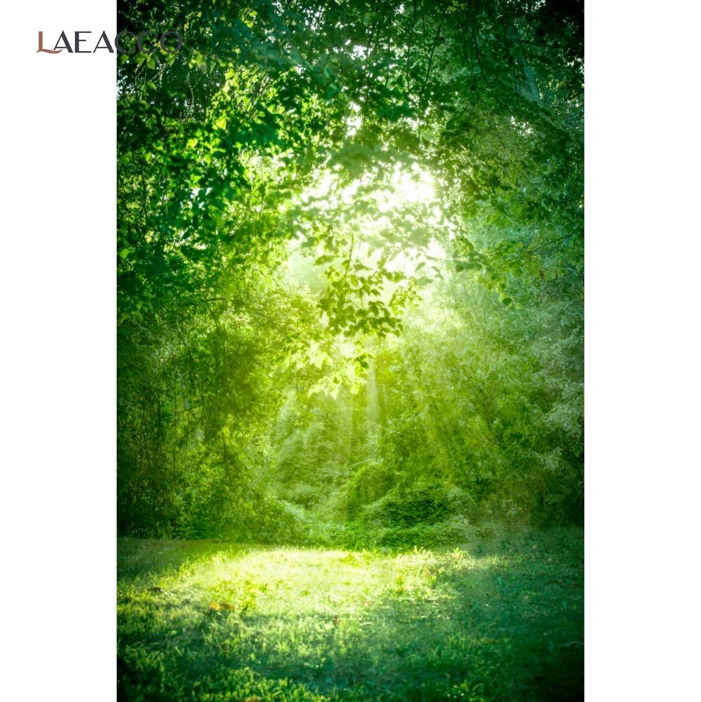 

Laeacco, страна чудес, Зеленый Джунгли, лес, Фотофон, солнечный свет, трава, живописный ребенок, портрет, фотография, фон для фотостудии