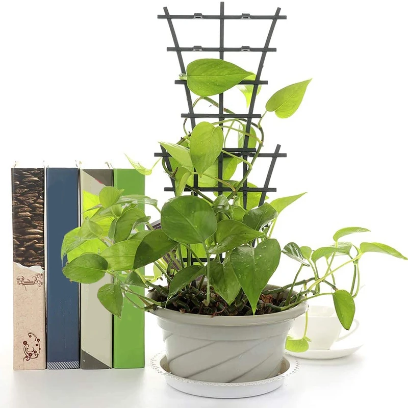 

10 Pcs Garden Plant Support Green & 6PCS Extension Climbing Indoor Plants Creepers Plant Support Climbing Pole