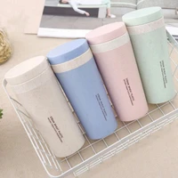 300ml travel mug thermo bottle office coffee tea bottle cups straw plastlc thermal insulatio cup for tea drinkware kitchen