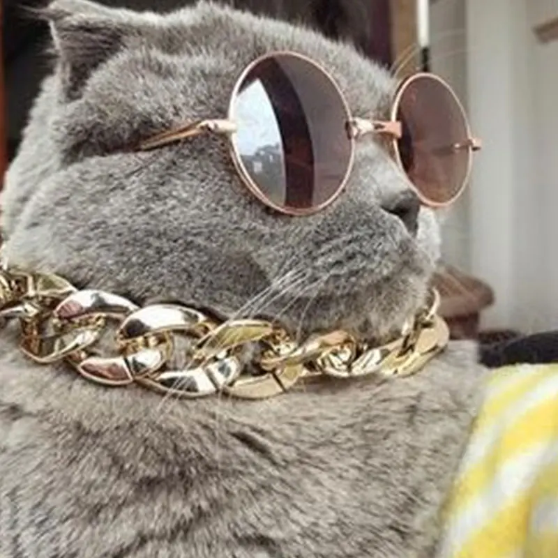 Крутое ожерелье для собаки металлическое аксессуары колье чихуахуа золотого и