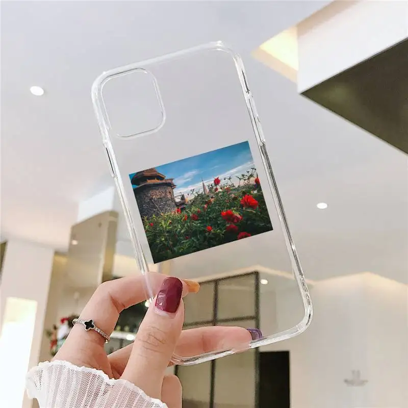 

Cottagecore Style Phone Case Transparent Clear for iPhone 11 12 mini pro XS MAX 8 7 6 6S Plus X 5S SE XR 2020