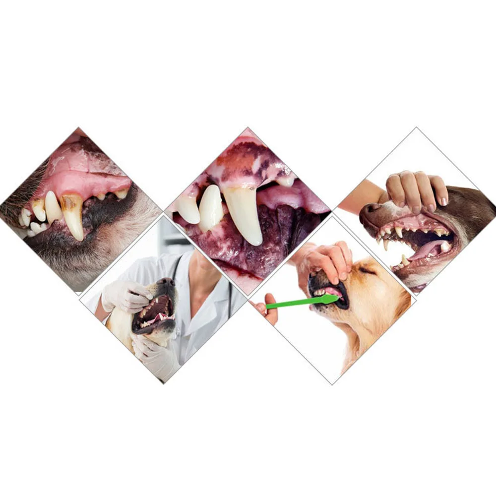 Зубная паста для домашних животных инструмент чистки полости рта товары ухода за