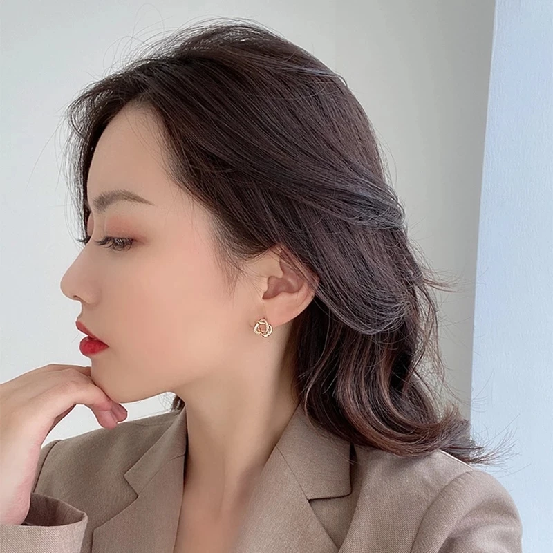 

Elegant Korean Zircon Twist Metal Circle Stud Earrings For Women Girls Cute Micro Paved Pendientes Jewelry Gifts