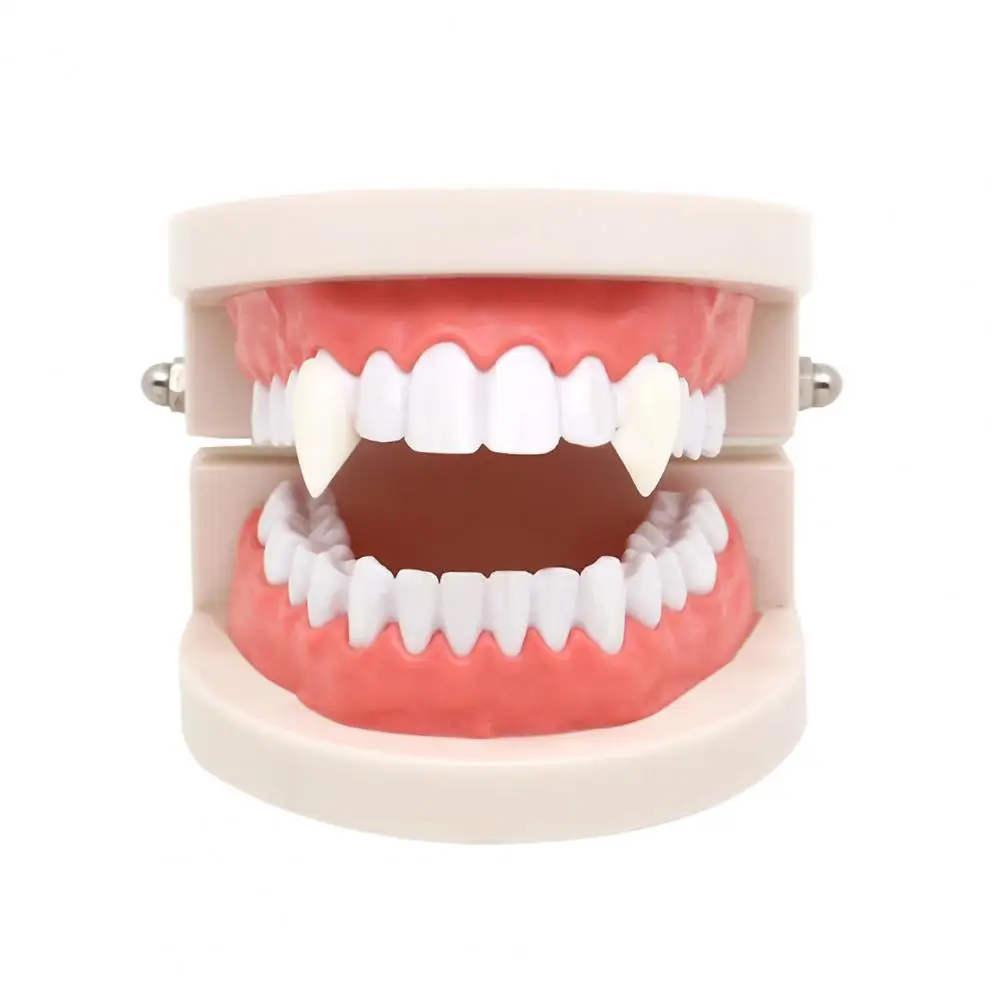 

3Pcs Werewolf Teeth Simulation Decorative Costume Accessories Creative Halloween Fangs Dentures Faux Teeth for Cosplay Photo