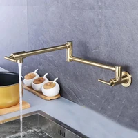 brushed gold faucet Wall Mounted Pot Filler Folding 2 Handles Single Cold Kitchen Faucet Tap SF989