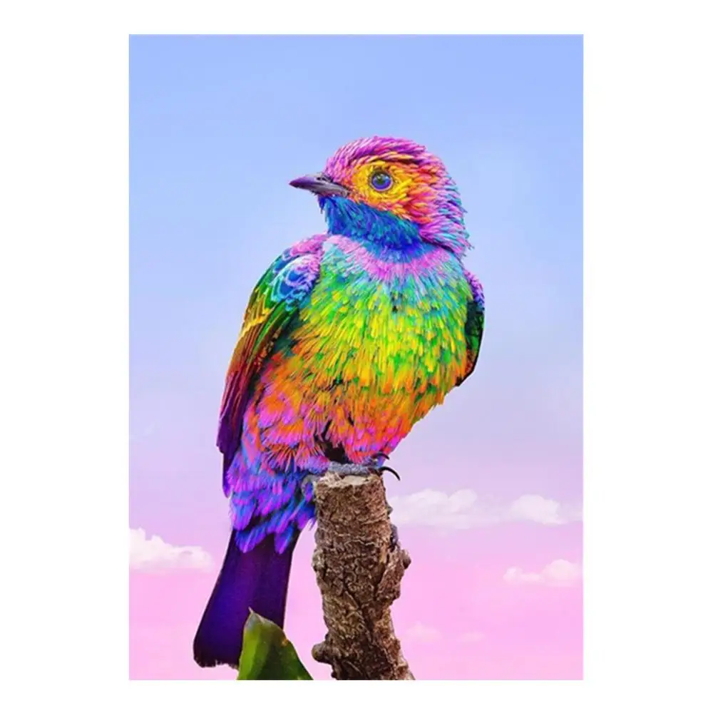 Цветной рисунок птицы 5D Сделай Сам полностью Алмазная вышивка мозаика украшение