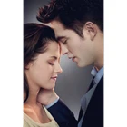 Алмазная 5D Вышивка Сумерки, полноразмерная картина сделай сам, мозаика для домашнего декора, подарок, HR26587