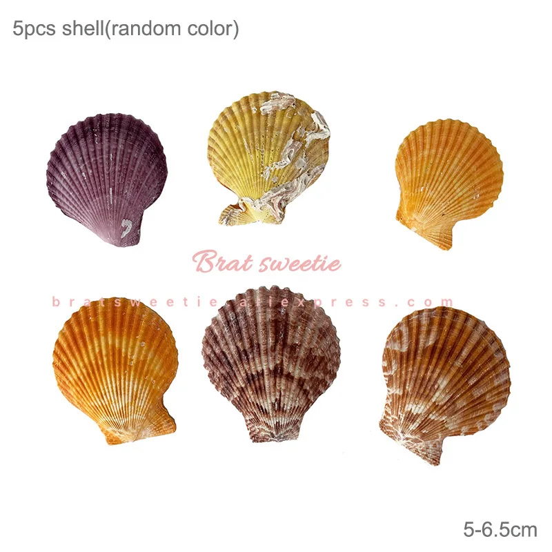 5pc random shell Nautical Mermaid Party Fishing Nets with Sea Shells and Anchor Under the Sea Decorative Background Wall Home Decoration Supplies - Цвет: 5pc random shell