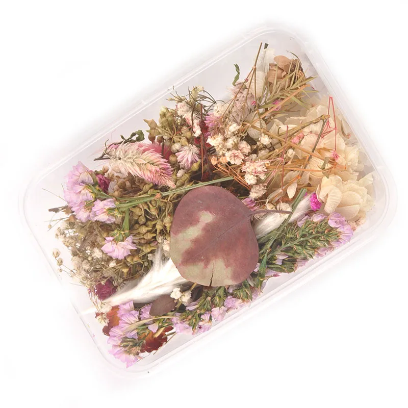 

1 Box Colorful Random Real Dried Flower Dry Plants For Making Craft Pressed Flowers DIY Jewelry Accessories Home Decor C2417