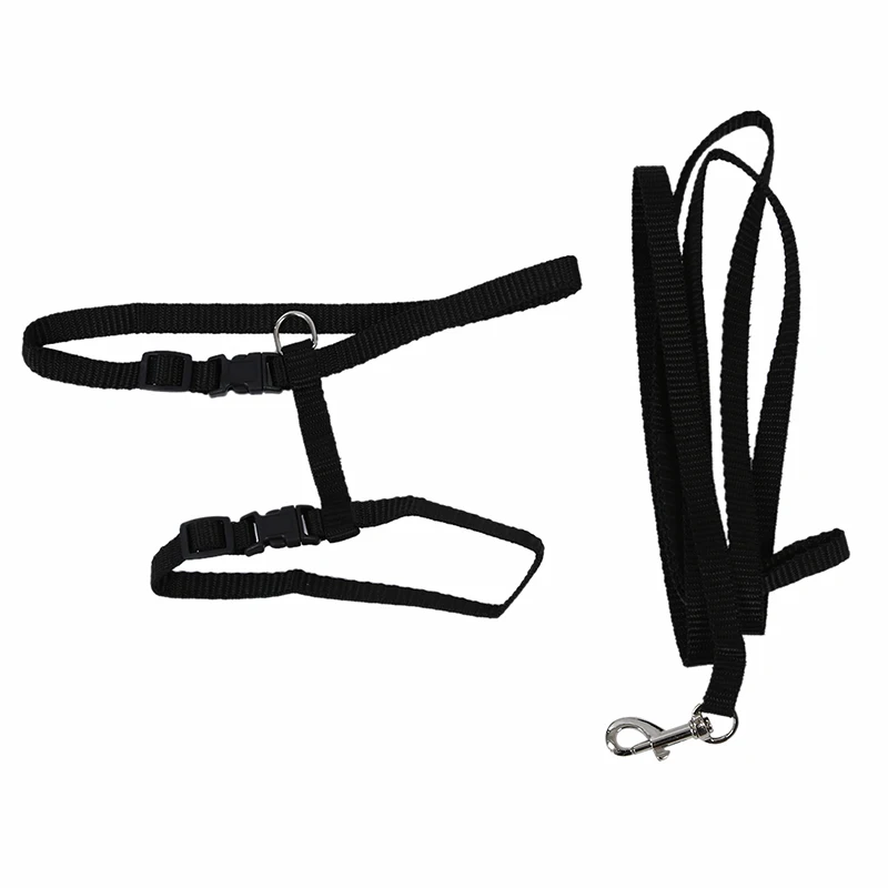 Регулируемый нейлоновый поводок для кошек и котят | Дом сад